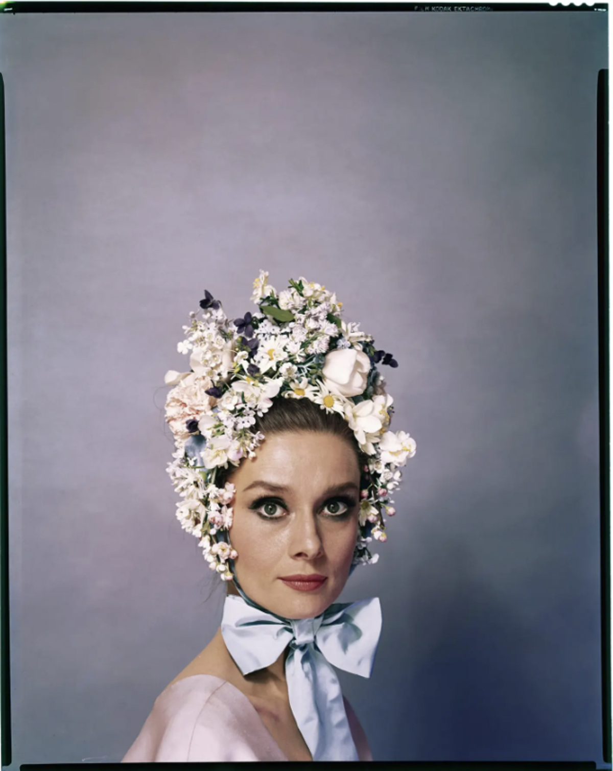 Screen Shot 2025 10 15 At 2.24.35 PM