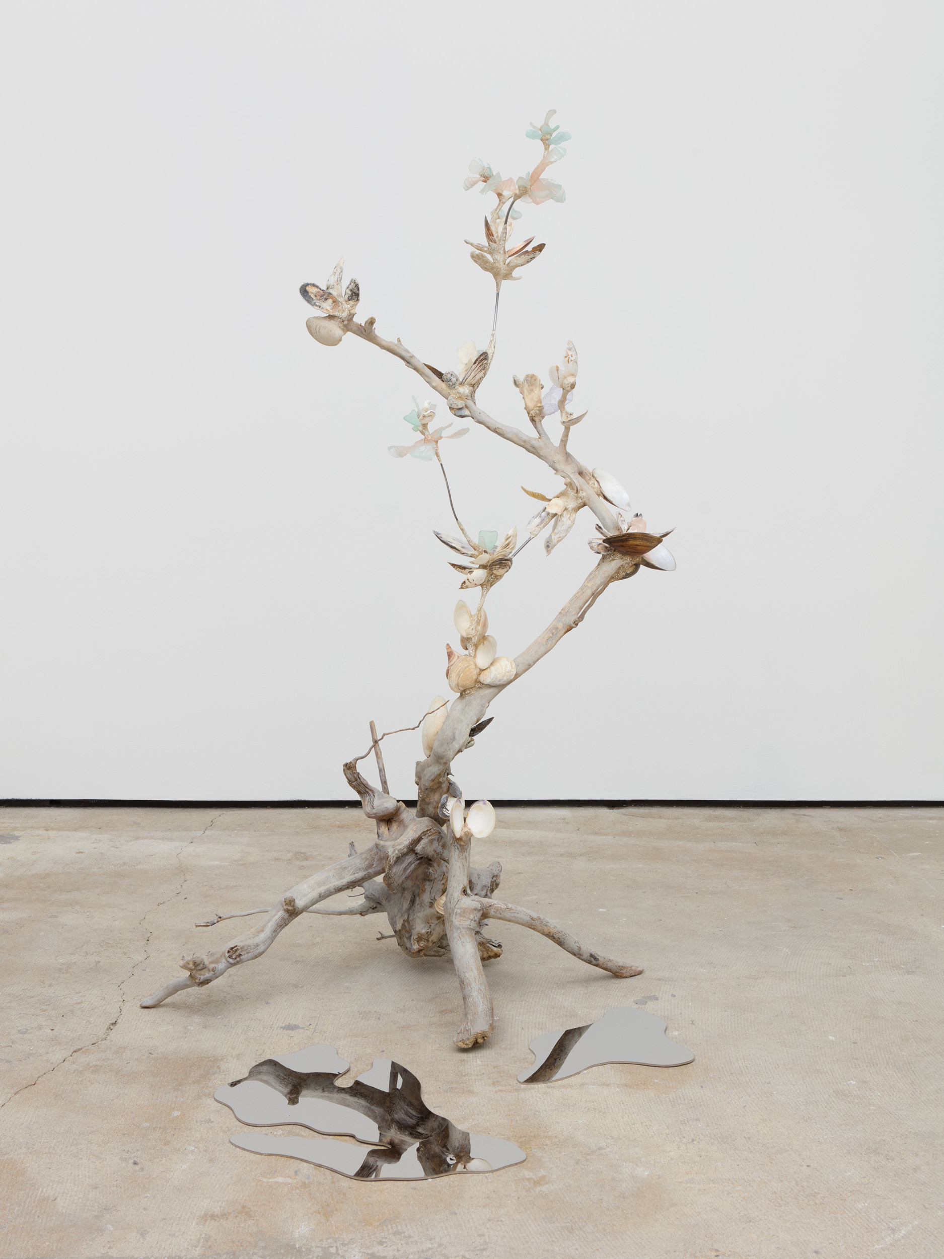 Xenophora I, 2024, Driftwood, Mussel Shells, Oyster Shells, Fish Bones, Sea Glass, Rock Conglomerates, Epoxy Clay, Acryli