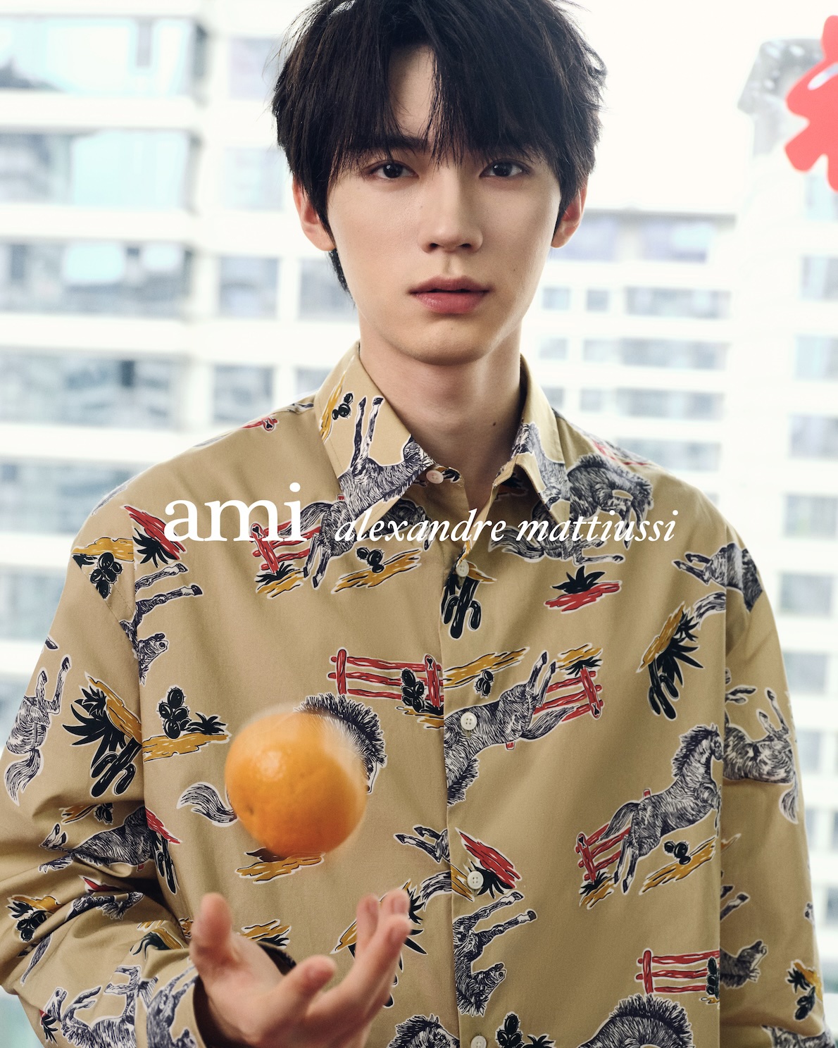 Ami Image